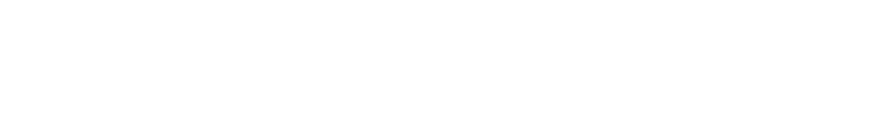 GeoMagnet